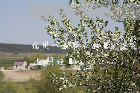 信用卡逾期不超過(guò)10元(信用卡逾期超過(guò)10萬(wàn)沒(méi)還需要承擔(dān)什么后果)