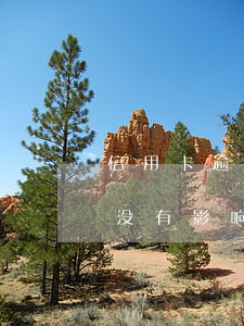 信用卡逾期不足一天(银行信用卡 逾期一天有没有影响?)
