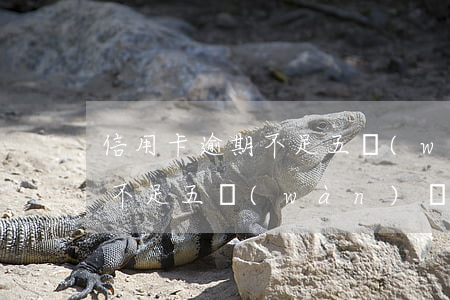 信用卡逾期不足五萬(wàn)(信用卡逾期不足五萬(wàn),銀行下了起訴通知,怎么怎么辦好呢)