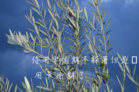 信用卡逾期不躲著但是還不上錢-沒注意信用卡逾期了