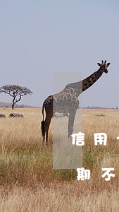 信用卡逾期不还会不会影响家庭-信用卡逾期不还会不会影响家庭成员
