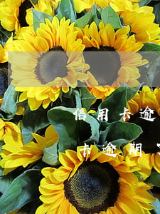 信用卡逾期不还会判刑吗(因为判刑导致信用卡逾期了该怎么办)