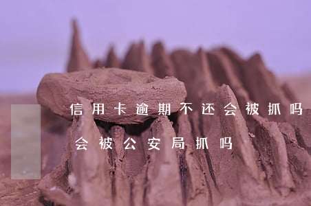 信用卡逾期不还会被抓吗知乎(欠信用卡逾期会被公安局抓吗)