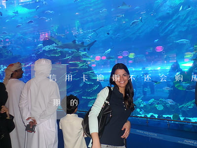 信用卡逾期不还会购成什么(有没有信用卡逾期的)