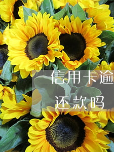 信用卡逾期不还可以挂失吗(挂失的信用卡能还款吗)
