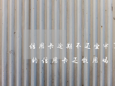 信用卡逾期不还坐牢了还用还钱吗(逾期还款的信用卡还能用吗)