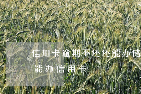 信用卡逾期不还还能办储蓄卡吗(逾期过后还能办信用卡)