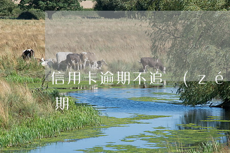 信用卡逾期不追責(zé) 為什么信用卡逾期