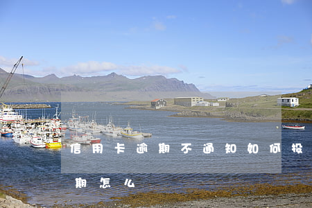 信用卡逾期不通知如何投訴信用卡 信用卡逾期怎么辦
