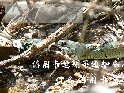 信用卡逾期不通知本人會(huì)怎么樣-為什么信用卡逾期銀行不打電話