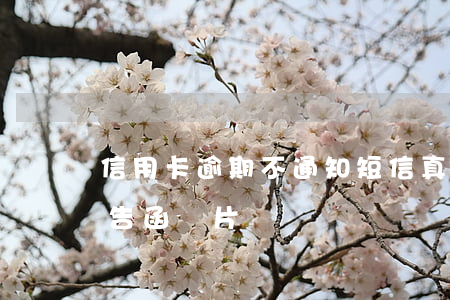 信用卡逾期不通知短信(真正的信用卡逾期通告函圖片)