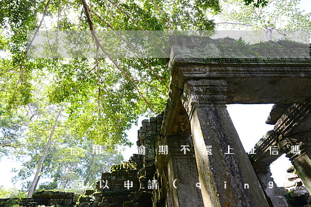 信用卡逾期不還上征信嗎(征信有逾期記錄還可以申請(qǐng)信用卡嗎)