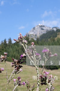 信用卡逾期不還也沒(méi)事(信用卡逾期一直不還)