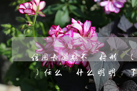 信用卡逾期不還付形勢(shì)責(zé)任么(為什么明明還了信用卡還逾期)
