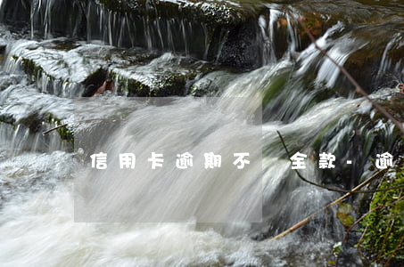 信用卡逾期不還全款-逾期未還信用卡