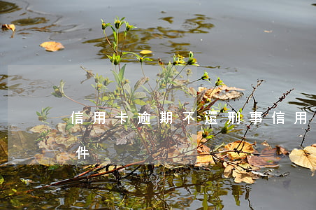 信用卡逾期不還刑事(信用卡逾期不還刑事案件)