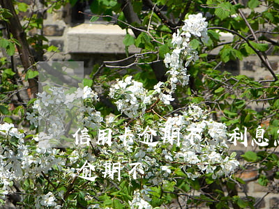 信用卡逾期不還利息怎么算法律-欠信用卡逾期不還