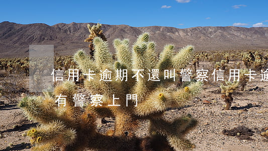 信用卡逾期不還叫警察(信用卡逾期了會不會有警察上門)