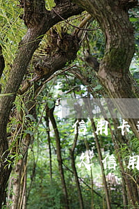 信用卡逾期不還可以去香港嗎(香港人在大陸欠信用卡不還)
