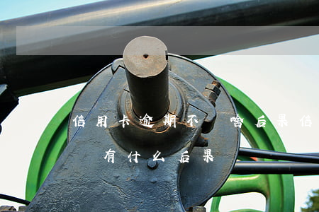 信用卡逾期不還啥后果(信用卡逾期了還不上會有什么后果)