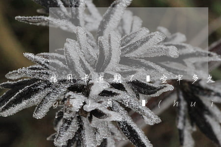 信用卡逾期不還坐牢多久(信用卡逾期幾個(gè)月了會(huì)不會(huì)坐牢)