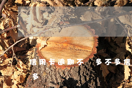 信用卡逾期不還多不多(信用卡逾期不還多不多)