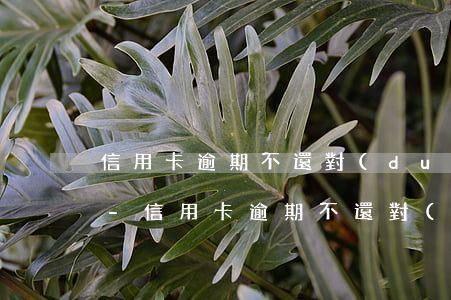 信用卡逾期不還對(duì)家人有影響嗎-信用卡逾期不還對(duì)家人有影響嗎知乎