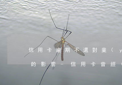 信用卡逾期不還對業(yè)務(wù)員的影響-信用卡 曾經(jīng)有逾期 影響