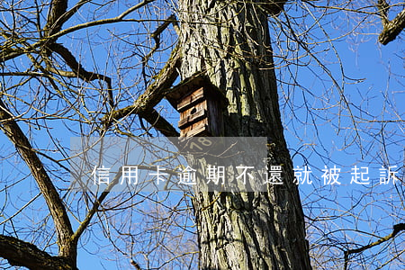 信用卡逾期不還就被起訴