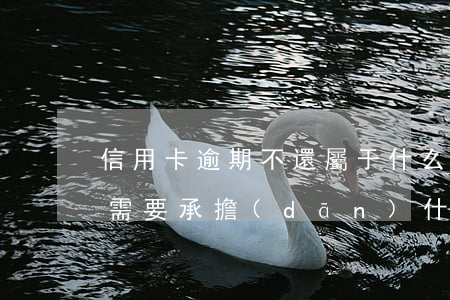 信用卡逾期不還屬于什么糾紛(逾期還信用卡需要承擔(dān)什么法律責(zé)任)
