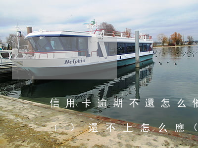 信用卡逾期不還怎么催收(信用卡暫時(shí)還不上怎么應(yīng)對(duì)催收)