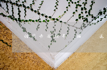 信用卡逾期不還悔過書范文(忓悔書范文)