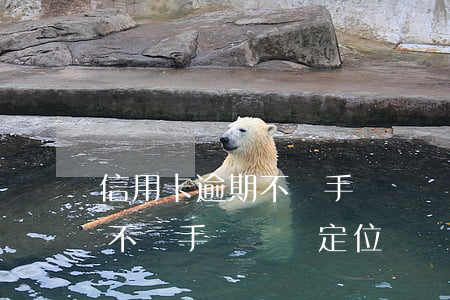 信用卡逾期不還手機號會定位嗎(信用卡逾期不還手機號會定位嗎嗎)