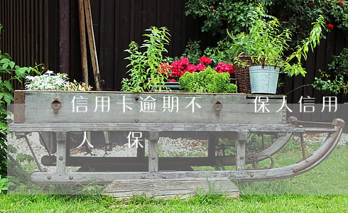 信用卡逾期不還擔保人(信用卡逾期可以給別人擔保嗎)