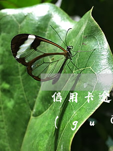 信用卡逾期不還是刑法196條-刑法中關(guān)于信用卡逾期不還的規(guī)定