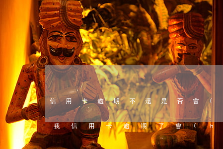信用卡逾期不還是否會(huì)影響后代(我信用卡逾期了會(huì)不會(huì)影響家人)