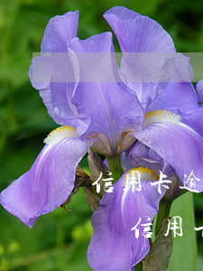 信用卡逾期不還是黑戶嗎(三個(gè)月不還信用卡會(huì)變成黑戶嗎)