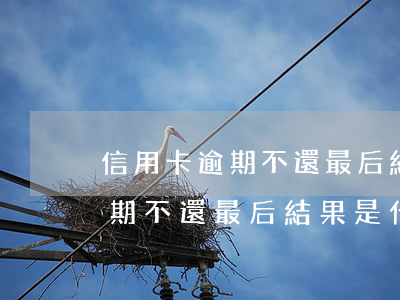 信用卡逾期不還最后結果是什么-信用卡逾期不還最后結果是什么樣的