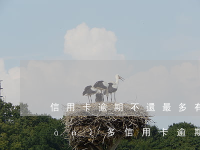 信用卡逾期不還最多有多少利息-一萬(wàn)多信用卡逾期利息是多少