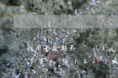 信用卡逾期不還會(huì)上門(mén)要錢(qián)嘛 有沒(méi)有信用卡逾期上門(mén)的