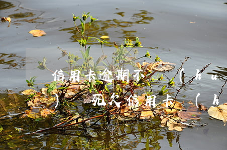 信用卡逾期不還會(huì)不會(huì)鎖死(欠信用卡會(huì)鎖儲(chǔ)蓄卡嗎)
