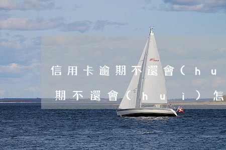 信用卡逾期不還會(huì)怎樣(信用卡逾期不還會(huì)怎樣處理)