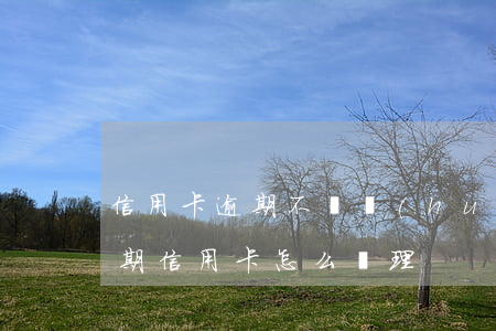 信用卡逾期不還會(huì)怎樣處理(還逾期信用卡怎么處理)