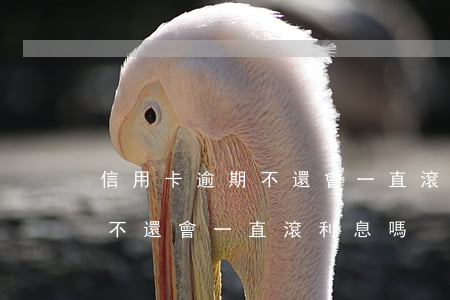 信用卡逾期不還會一直滾利息嗎 信用卡逾期不還會一直滾利息嗎