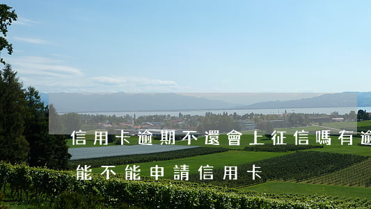 信用卡逾期不還會上征信嗎(有逾期上征信還能不能申請信用卡)