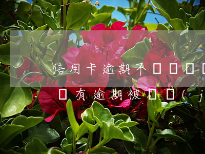 信用卡逾期不還會凍結(jié)嗎(信用卡沒有逾期被凍結(jié)了有什么影響)