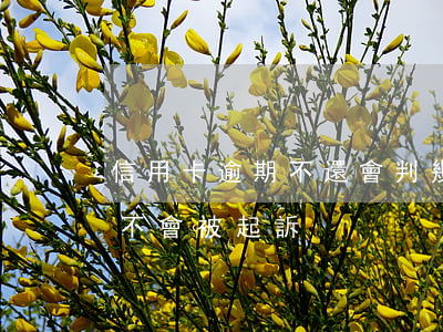 信用卡逾期不還會判幾年(信用卡逾期兩年會不會被起訴)