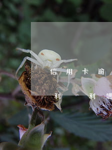 信用卡逾期不還會利滾利嗎(欠信用卡的錢會利滾利嗎)
