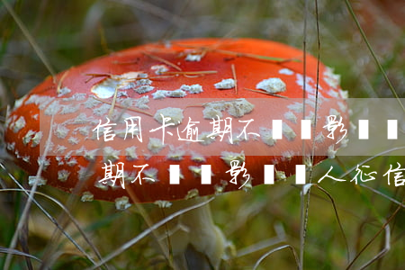 信用卡逾期不還會影響個人征信-信用卡逾期不還會影響個人征信嗎