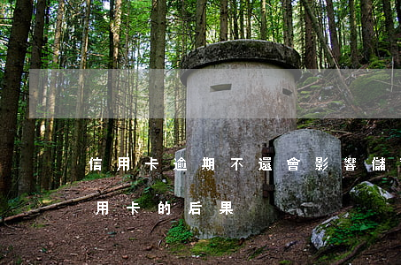 信用卡逾期不還會影響儲蓄卡嗎-逾期還信用卡的后果